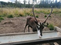 Noch ein kleiner Nachschlag