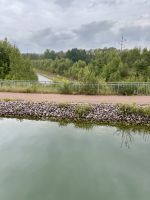 Aquädukt Kungs Norrby