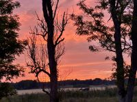 Verheißungsvoller Morgen