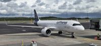 Der Heimflieger (3) &ndash; &copy; Marcus Hasselhorst (Eberhardt TRAVEL)