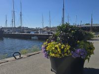 2026_Radreise_Schweden:  Stockholm - Stadthafen &ndash; &copy; Dieter Braune (Eberhardt TRAVEL)