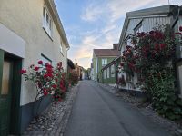 2026_Radreise_Schweden:  Västervik Fischersiedlung um 21:30 &ndash; &copy; Dieter Braune (Eberhardt TRAVEL)