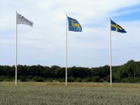 2622 Die Symbole von Region und Land