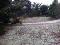 Im Naturschutzgebiet Ullahau