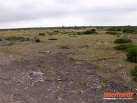 Ölands Stora Alvaret