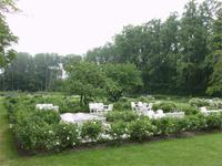 Garten am Naurum auf Gotland