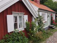 Blumenpracht in Kalmar