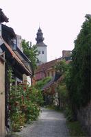 Visby die Stadt der Rosen