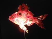 Glasreich Kosta Boda