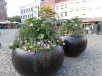 Lilla Torg in Malmö