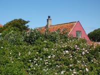 Auf Frederiksö &ndash; &copy; Peter Rudolph (Eberhardt TRAVEL)