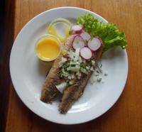 Die Sonne von Gudhjem &ndash; &copy; Peter Rudolph (Eberhardt TRAVEL)