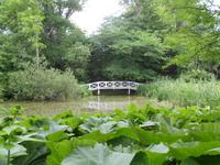 Garten Rungstedlund &ndash; &copy; Peter Rudolph (Eberhardt TRAVEL)