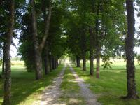 Beim Hotel auf Gotland