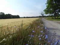 Bei Suderby auf Gotland