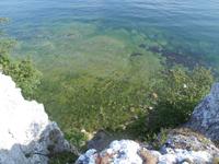 Blick von den Hökklippen auf Gotland