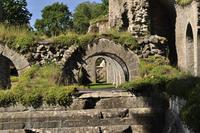 Alvastra Klosterruine