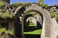 Alvastra Klosterruine