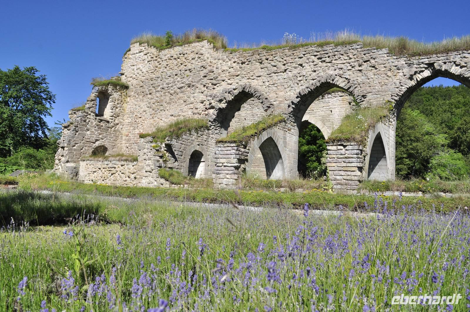 Alvastra Klosterruine