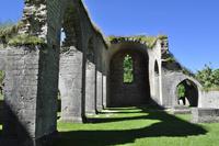 Alvastra Klosterruine