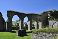 Alvastra Klosterruine