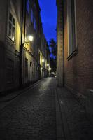 Nächtlicher Stadtrundgang Gamla Stan