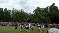 Aufstellen der Mittsommerstange im Skansen
