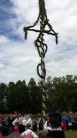 Aufstellen der Mittsommerstange im Skansen