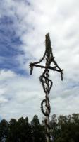 Aufstellen der Mittsommerstange im Skansen