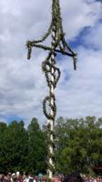 Aufstellen der Mittsommerstange im Skansen