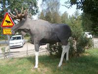 Grönäsens Älgpark