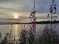 Abendstimmung in Stockholm 