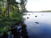 Am Hyllsjön