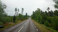 Auf Elchsuche in Südschweden