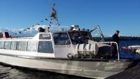 Ausflug zur Insel Fjäderholmarna
