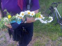 Blumenkranz 