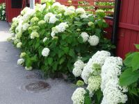 Bummel in Vaxholm