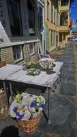 DSC_0347Marstrand (13)