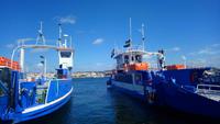 DSC_0347Marstrand (5)