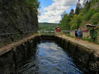 Dalslandkanal (29)