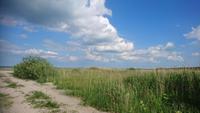 Das schöne Dänemark, Koge, Weg zum Strand hinter dem Hotel