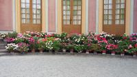 Drottningholm Schloss-Chinesischer Pavillon