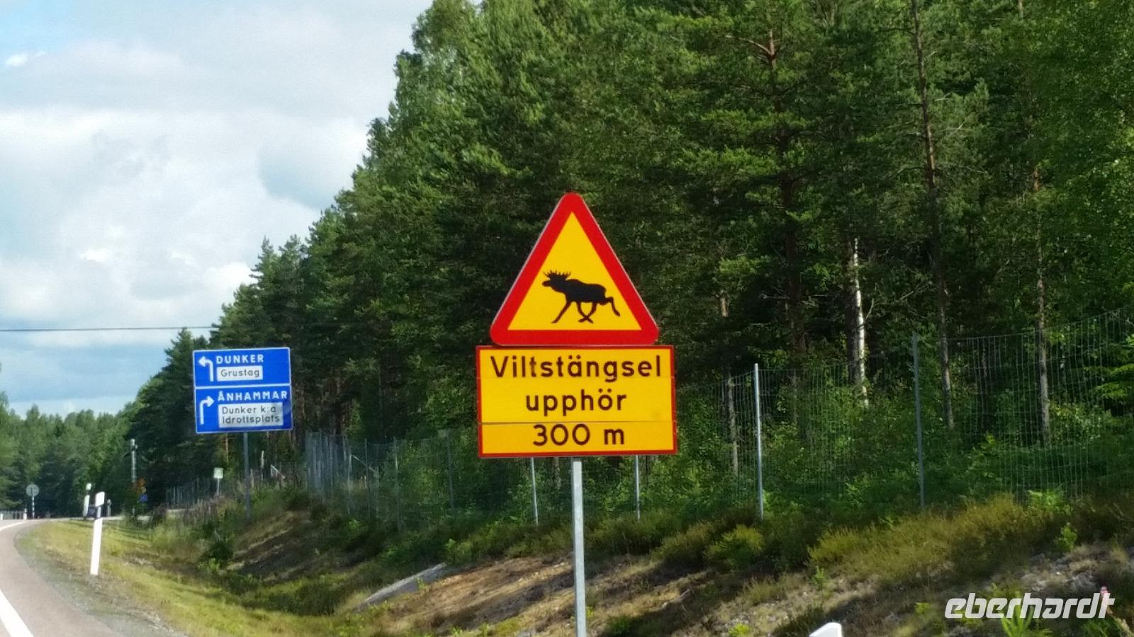 Elchwarnschild