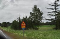 Elchwarnschild
