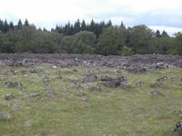 Fluchtburg Ismanstorp auf Öland