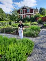 Freilichtmuseum Skansen - Reiseleiterin Katrin im Kräutergarten