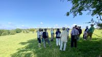 Göta Kanal Kreuzfahrt - Birka Führung in der ehemaligen Siedlung