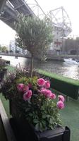 Gartenlokal am Hotel 