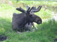 Gustav im Park