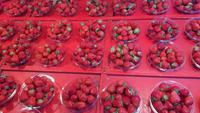 Heumarkt - schwedische Erdbeeren...
